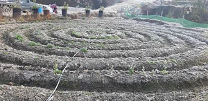 Himgiri Permaculture Farm