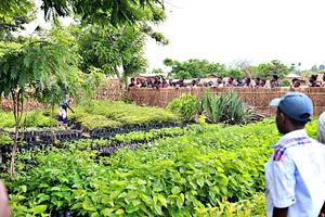 Permaculture Paradise Institute