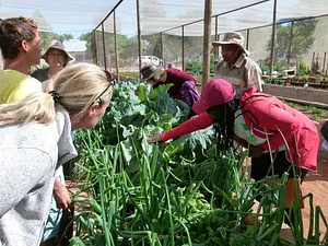 Permaculture at Namibian Organic Association
