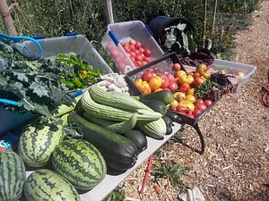 Krishna Food Forest & Farm