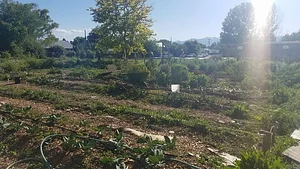 Krishna Food Forest & Farm