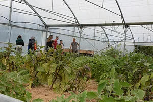 Maraîchage Bio, Permaculture et Agroécologie