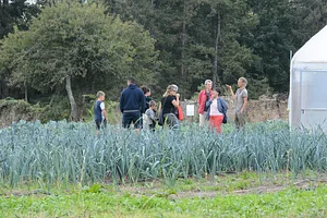 Maraîchage Bio, Permaculture et Agroécologie