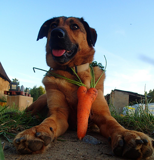 Ferme De La Grande Rivière