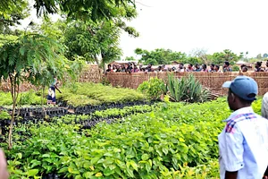 Permaculture Paradise Institute Learning Center