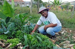 Horta Orgânica Comunitária Girassol
