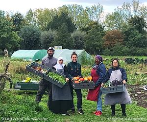 Los Perros Urban Farming