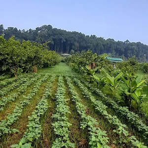 Photo Forest Side Farm