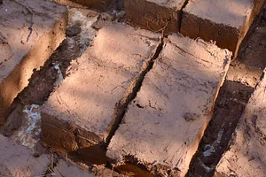Marrakesh Organics