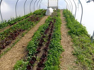 Cloughjordan Community Farm