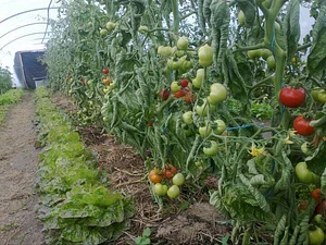 Cloughjordan Community Farm