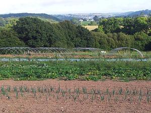 The Apricot Centre At Huxhams Cross Farm