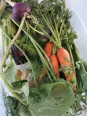Habiba Organic Farm