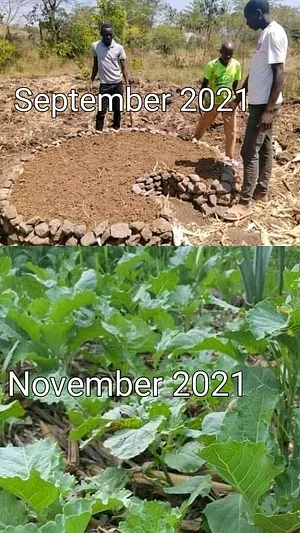 Kaswanga Permaculture and Syntropic Agroforestry Project