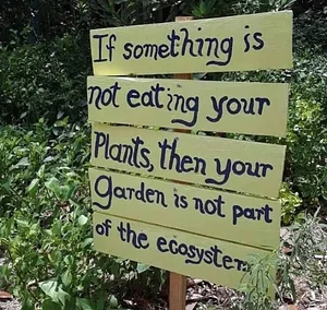 Kaswanga Permaculture and Syntropic Agroforestry Project