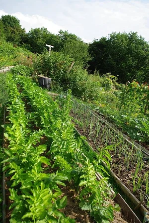 Garth Organic Garden