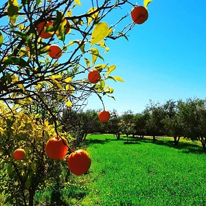 Marrakesh Organics