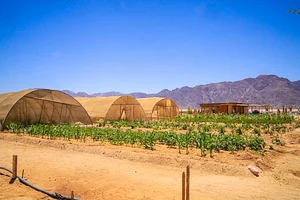 Habiba Organic Farm