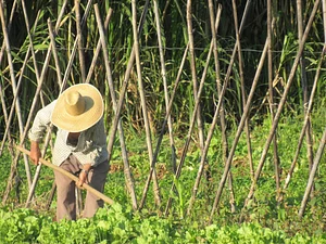Rede de Agroecologia da Unicamp 3