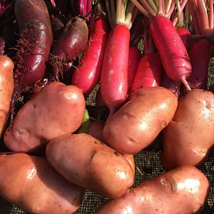Regenerative Agriculture at Kupa'a