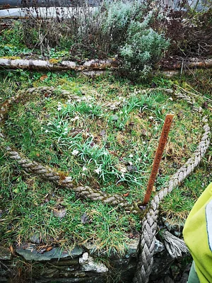 Garth Organic Garden