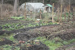 Photo Watercliff Permaculture Farm