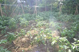 Learning Center at Kuatro Maria's Agroecology Farm
