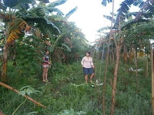 Kuatro Maria's Agroecology Farm