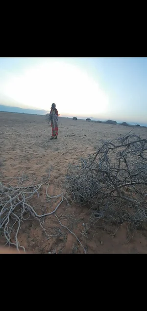 Desert child's hope organization
