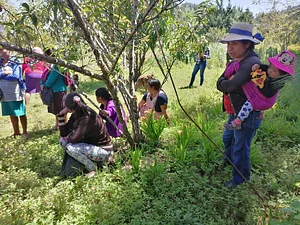 Proceso Agroecológico