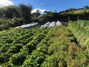 Photo Henbant Permaculture