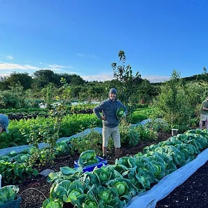 Photo Henbant Permaculture