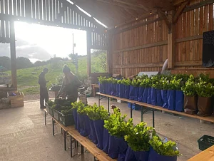 Henbant Permaculture