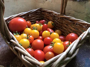 Henbant Permaculture