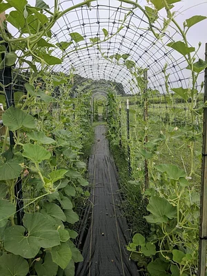 NCSU Agroecology Education Farm