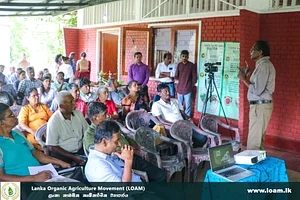 Opening Of LOADI GROVE