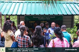Opening Of LOADI GROVE