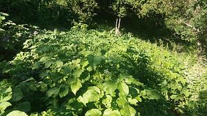Community Recycling for Organic Produce