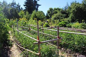 Eugene Permaculture Group