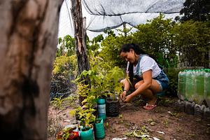 Centro Sabiá - Centro de Desenvolvimento Agroecológico Sabiá