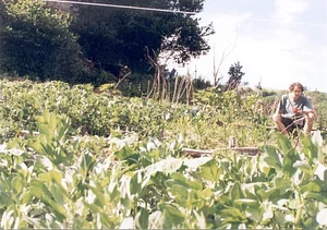 Community Recycling for Organic Produce