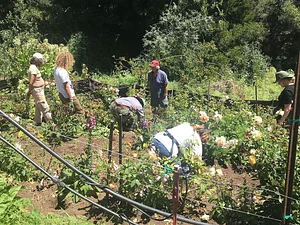 UC Santa Cruz Center for Agroecology