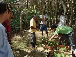 Reserva Ecológica da Juatinga, Paraty - RJ