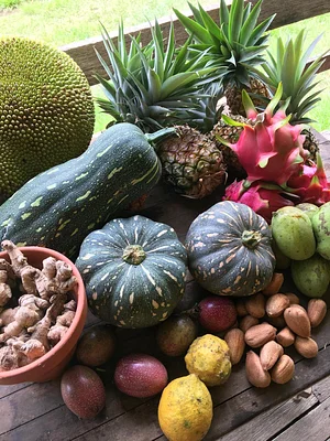 Kendall Permaculture Farm