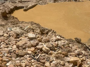 Natural Resources Justice Network