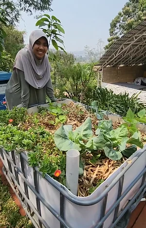 Wicking bed after a month