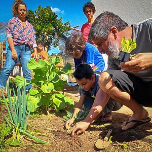 EcoviLab - Permaculture Lab
