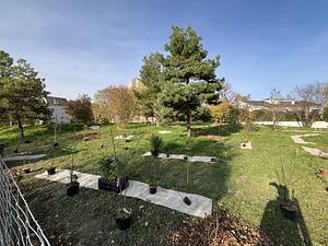 jardin-forêt