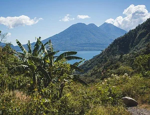 Atitlan Organics