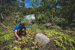 Atitlan Organics
